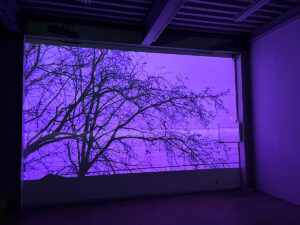 Chaos at Art Is CICA Museum